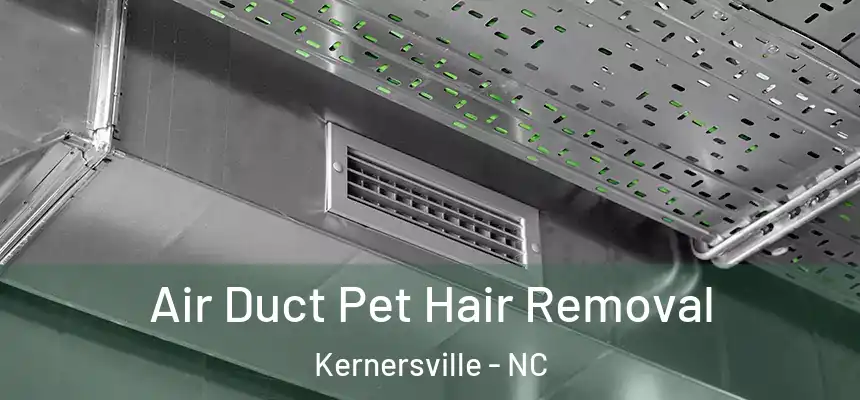 Air Duct Pet Hair Removal Kernersville - NC