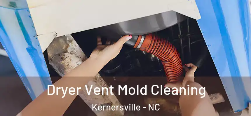  Dryer Vent Mold Cleaning Kernersville - NC