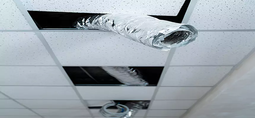 Our Air Duct Pet Hair Removal Services in Kernersville, NC