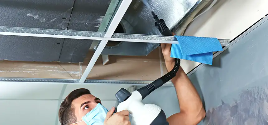 Our Air Duct Rodent Removal Services in Kernersville, NC
