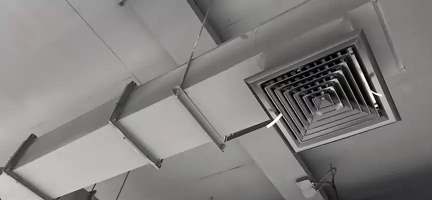 Our Rodent Droppings In Vents Services in Kernersville, NC