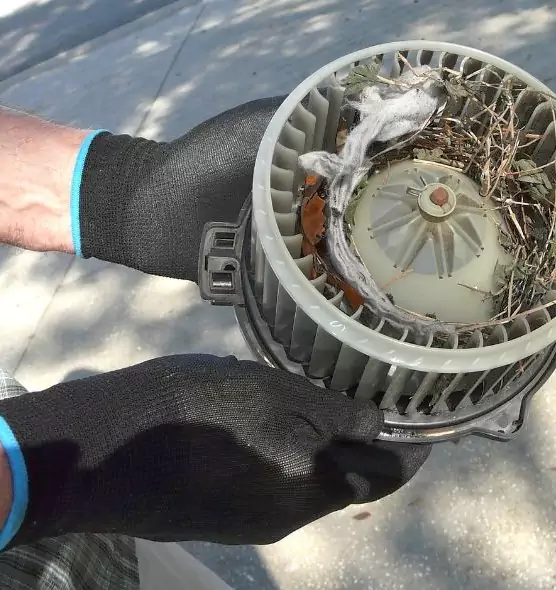 About Air Duct Mice Removal in Kernersville, NC