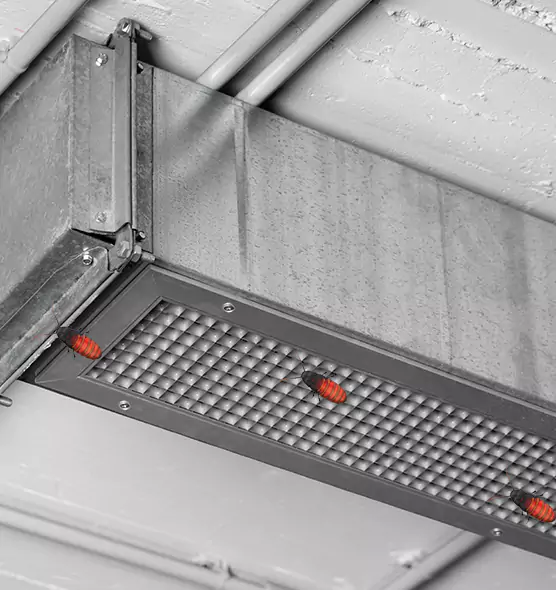 Affordable Insect Removal from Air Ducts in Kernersville, NC